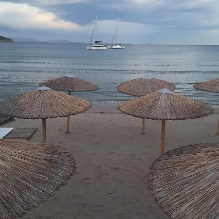 Szálloda Svetlana & Michalis Oasis 2*